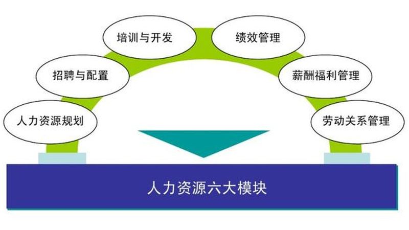 人事代理代办流程：企业合规用工的便捷之道**