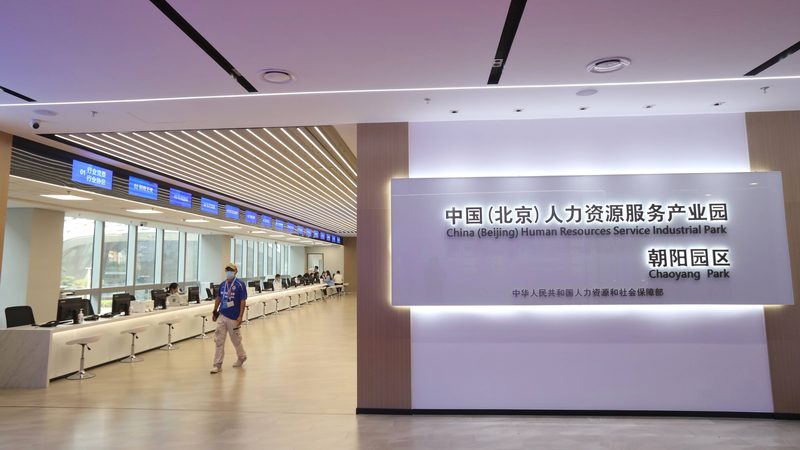 在灵活用工过程中，小微公司应关注用工成本与效率，以下是一些建议：